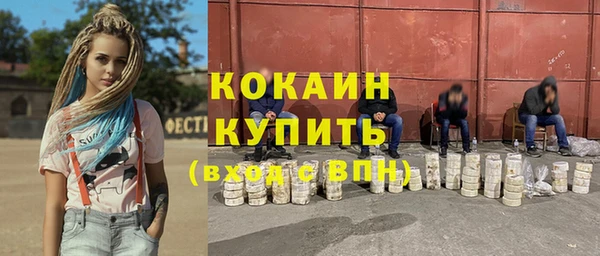 твердый Алзамай