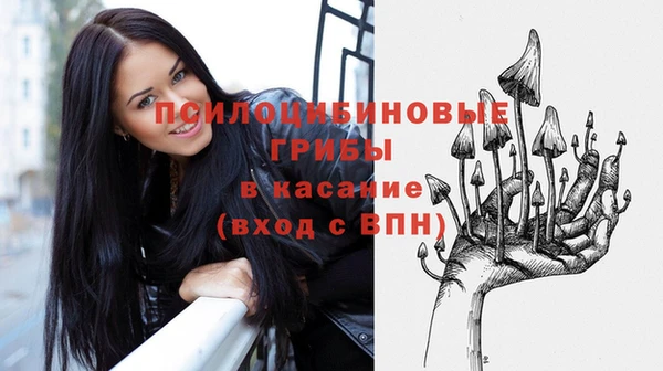 твердый Алзамай