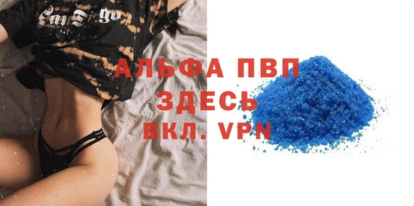 стаф Алексин