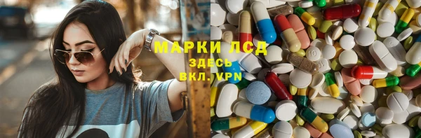 стаф Алексин