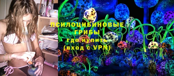 твердый Алзамай