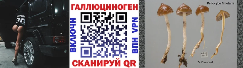 Псилоцибиновые грибы мухоморы  купить наркотики сайты  Островной 